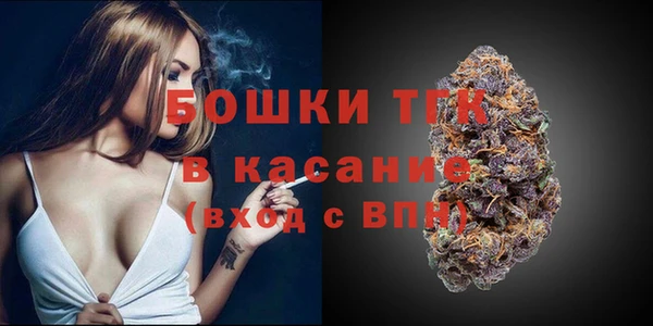 сатива Армянск