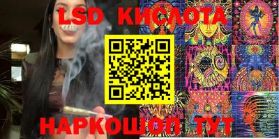 крисы Кандалакша