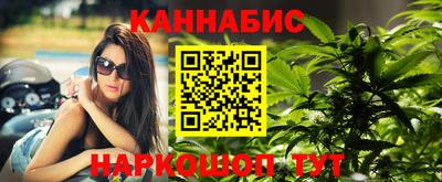крисы Кандалакша