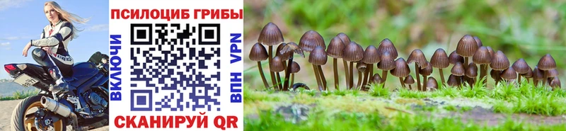 Галлюциногенные грибы Magic Shrooms  Мурманск 