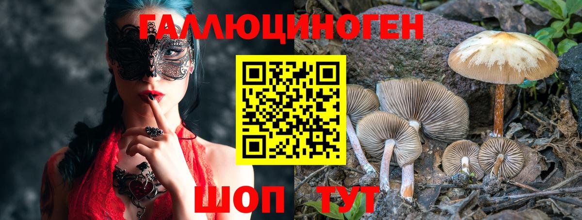 Галлюциногенные грибы ЛСД Мурманск